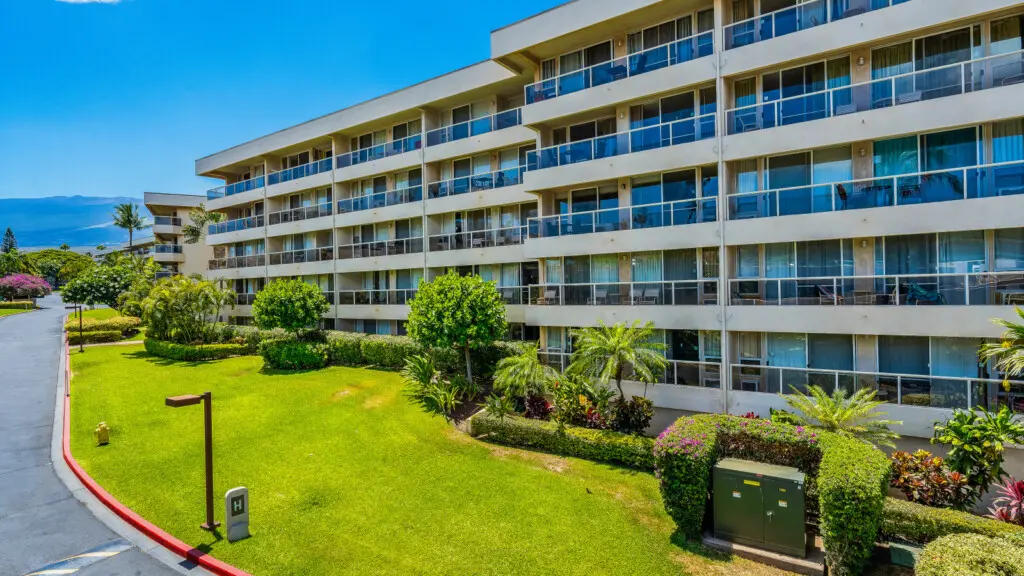 123155 310196 8kAE9G9H4kXrYE29ycArPNsGq9HYuxQyCRY4WxSvGYY 68473c286a9b0.jpg