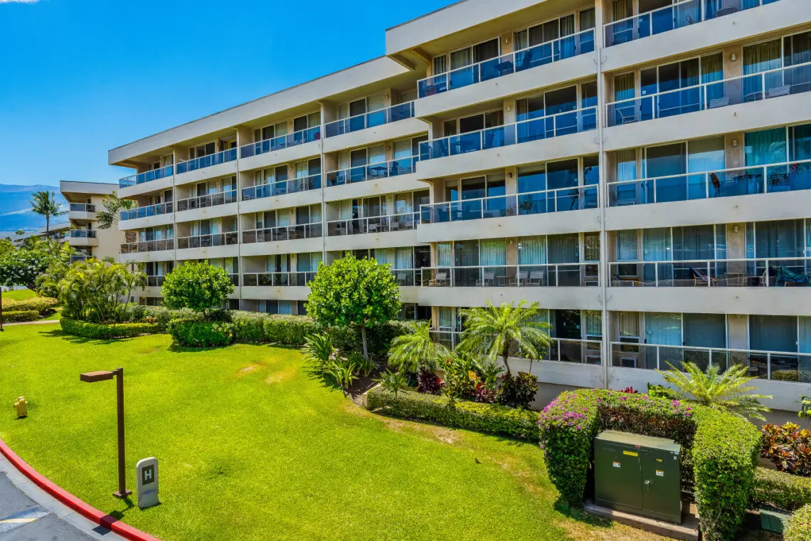 123155 310196 8kAE9G9H4kXrYE29ycArPNsGq9HYuxQyCRY4WxSvGYY 68473c286a9b0.jpg