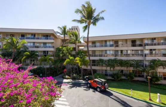 123155 310196 RL78 ftRaon m sjVWN1bWd3j8UauE IvT1JkGyJZyU 66ec7da2e833d.jpg