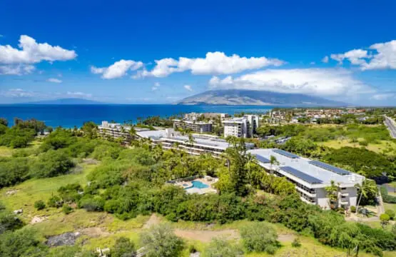 123155 310197 CQ6BH4TXDpZfb6ts3QhQWvoZHm3Q6SSiMute716xk6k 67e7acccdacca.jpg