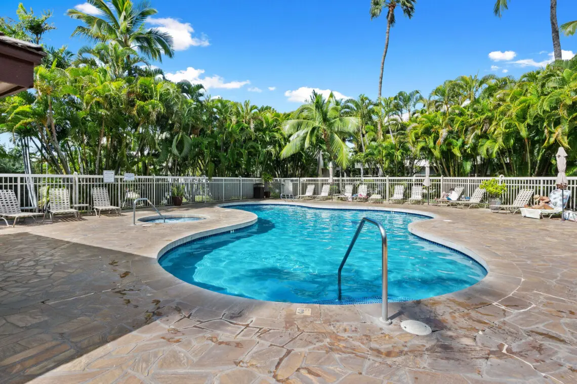 123155 310197 GHu 9VLT0TgouJ3sTSUxlA3NAt71WxJsShl6iFXONy4 67e7ad28e8ec6.jpg