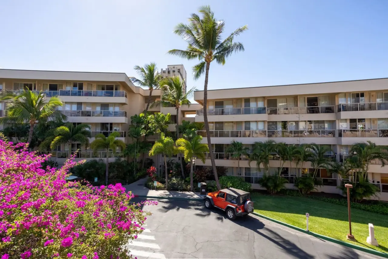 123155 310197 c3r8RdnRxYkS1RODZ6IivSL97mniw8dMIhuN8F5UksM 66ec93d8b3d76.jpg