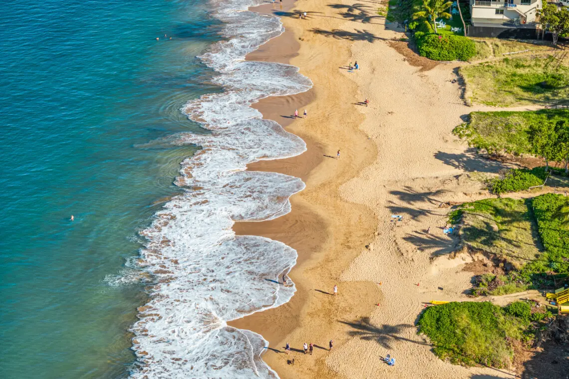 123155 310198 s1rJZq3zGb0EcMtCmZ0kc32 t KfS7tl9ZHJXRtNkxs 683e69d3377e4.jpg