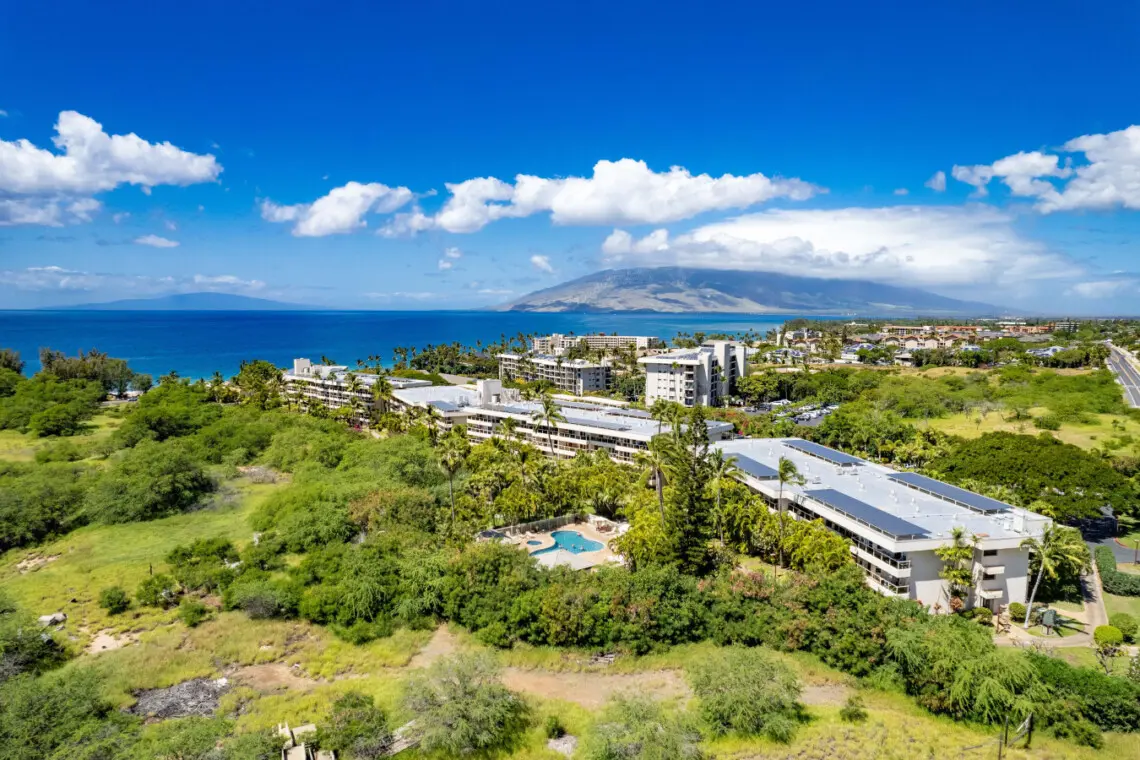 123155 310198 s4pMmgkgLDvyZ9ThjlNkF02 7pETKjlZB2e8UQGrWuk 67b6807253f5f.jpg