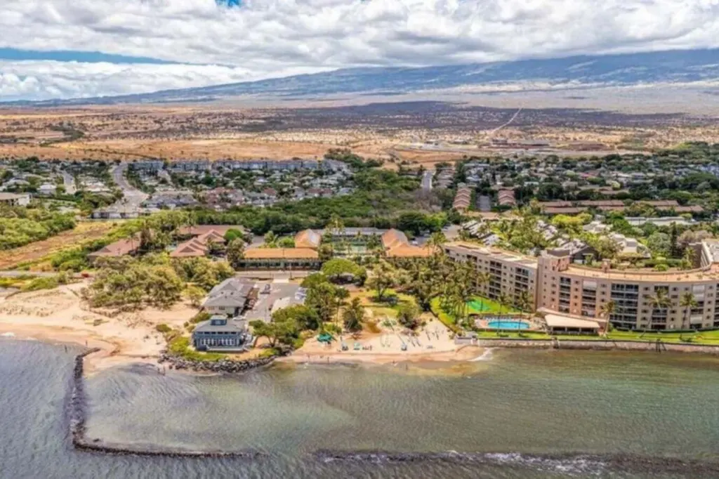 123155 310210 6Y9ShKFf2 56duY5UiUquOhy wAw2tlTdXv6p3JQd s 66ecacbd1d1c4.jpg