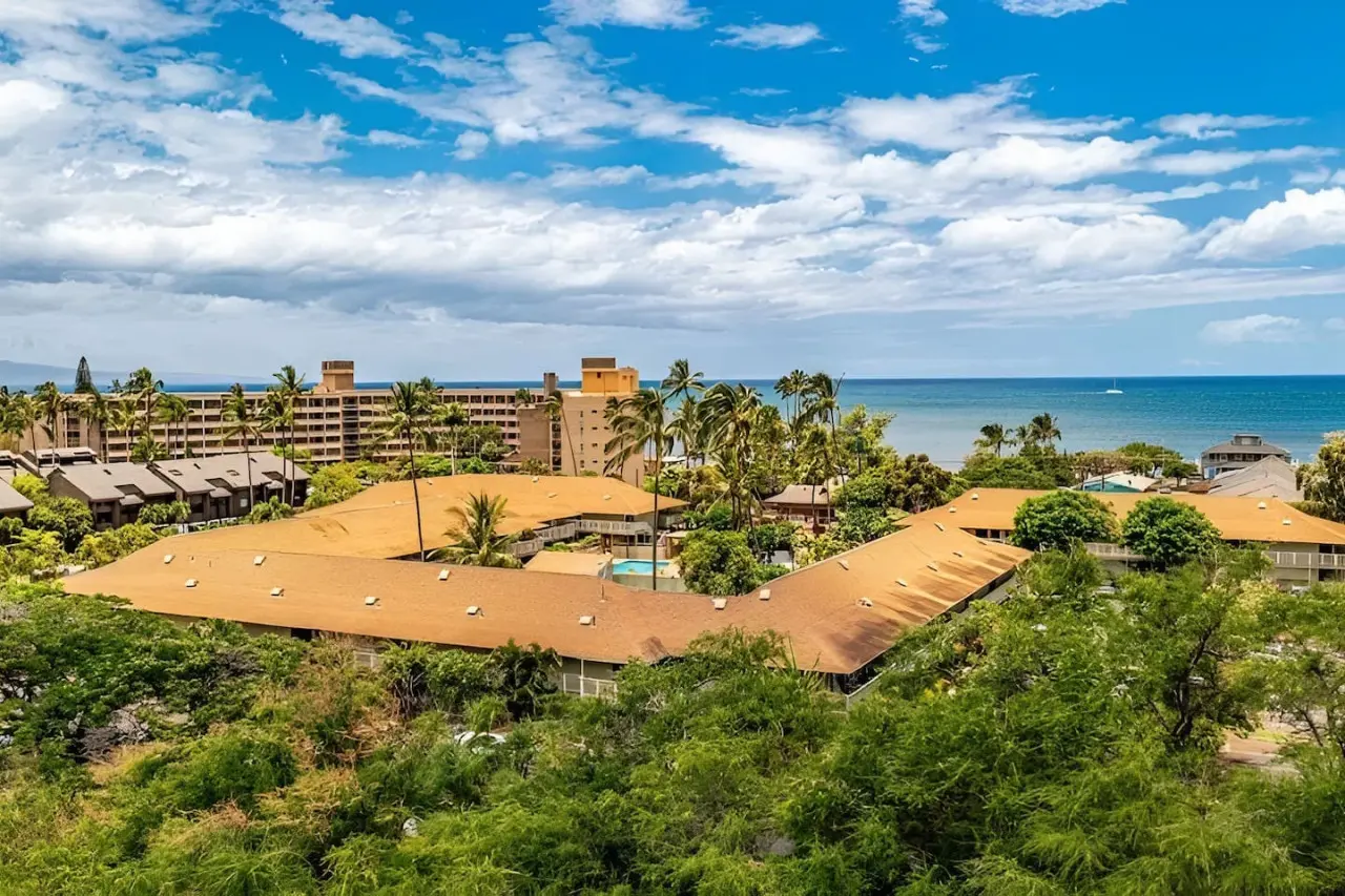 123155 310210 XQyOPPqK P23hhDcI N9MNS6RnTZgW41mcxbuAhduzw 66ecacbedcbd0.jpg