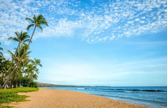 123155 310210 ot68pYhlz y08cYAQouZ6pbfGKYwWW02AwygY9HfUj0 67e7b519da6eb.jpg