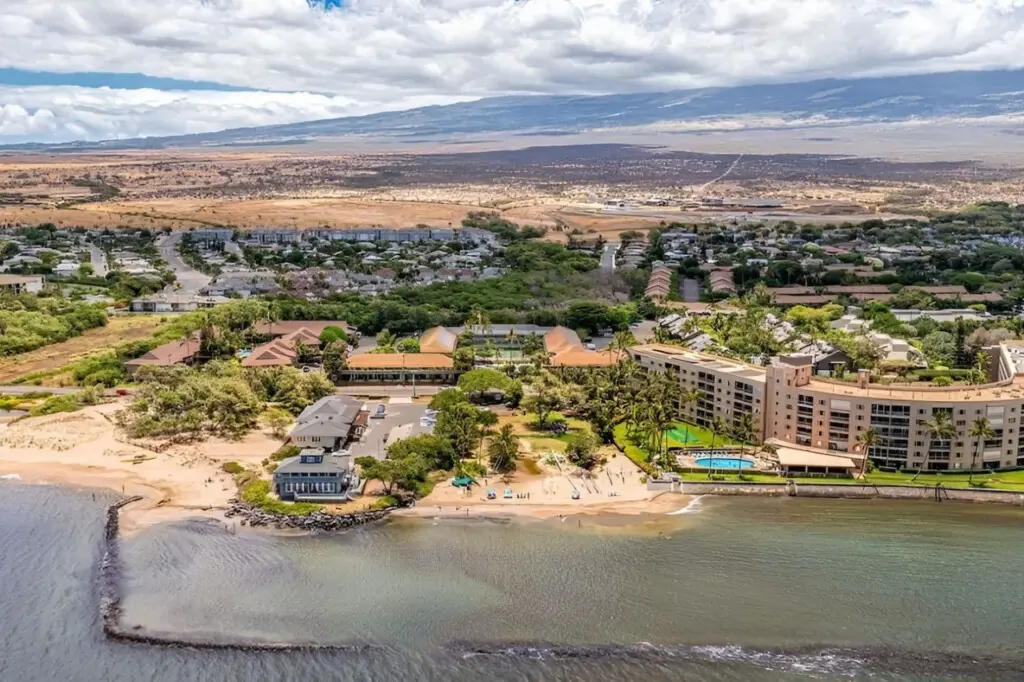 123155 310210 twj45K9qyQyt3EbtkPiqTEkx OfxoZEGtUmn9su8CxU 66ecacca57c55.jpg