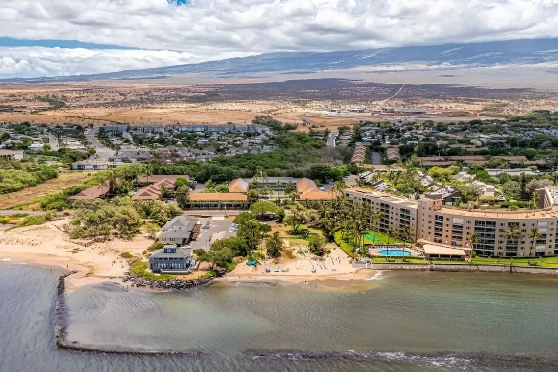 123155 310210 twj45K9qyQyt3EbtkPiqTEkx OfxoZEGtUmn9su8CxU 66ecacca57c55.jpg