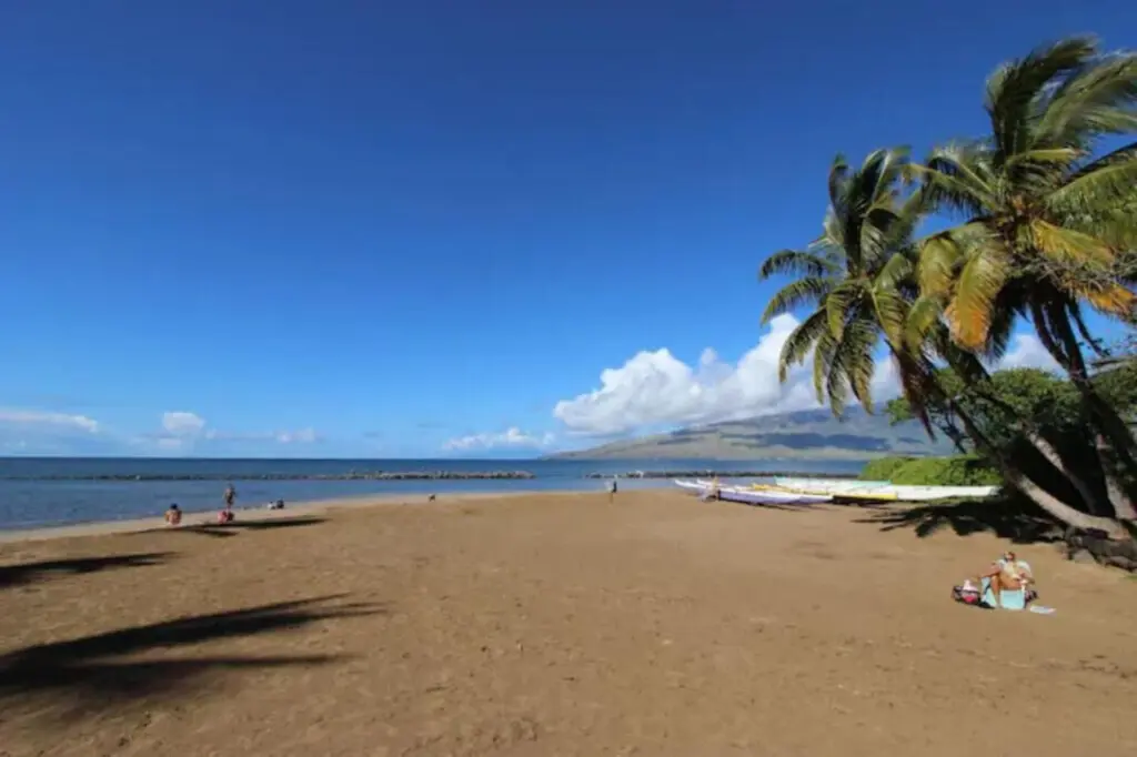 123155 310211 x7ZQajR1gPVM86i3p7tTLe1oJnYLP6joPJwXPsSjU 66ecc685ab3d6.jpg