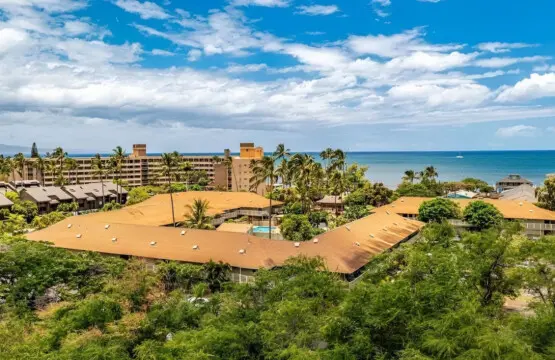 123155 310211 aUoChm8AluTscHfuvzF3pk7H9ltMmCT16th7A2GDGc4 66ecacaf51bee.jpg