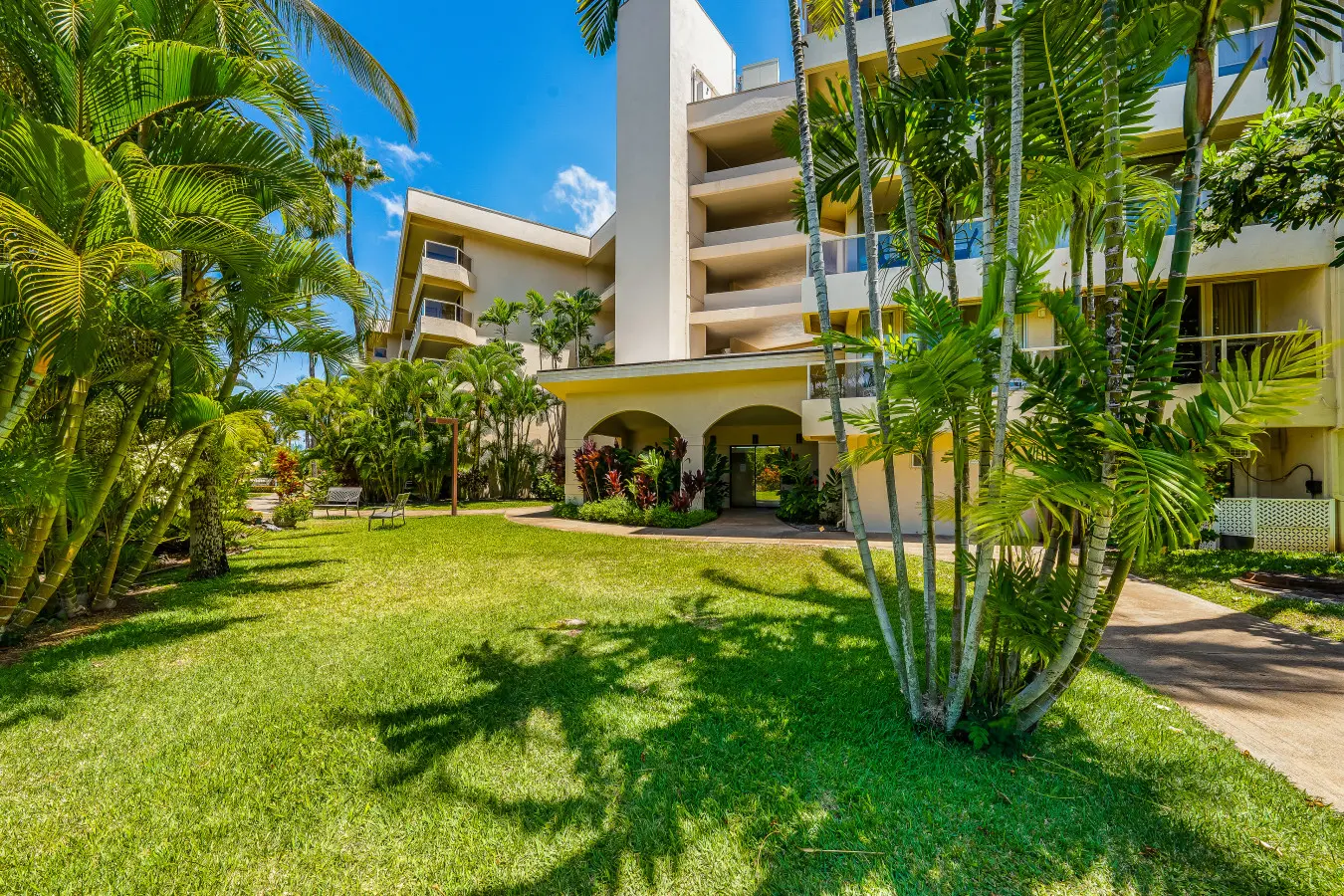 123155 310270 fyvu wIIEv3BR CJDMoWplNIxKK0CS Mti5v2ra Yp4 683d52e913a33.jpg