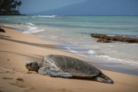 123155 310270 uGv3bp6zZpv5xyK mUp2RNI0I6 CYQoAojYzzcOkb g 66eca66c34e9b.jpg