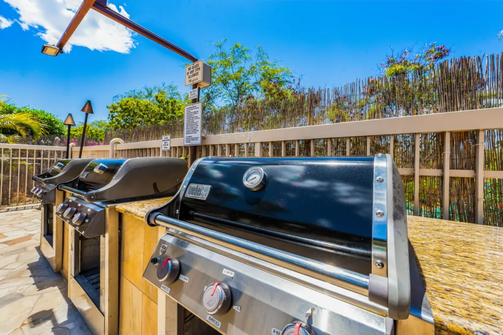 123155 310271 9SWFRJCCp dmR4PSdQSAQtGa 9Hq6HaeL5HD16lqC0 683d5090ba22b.jpg