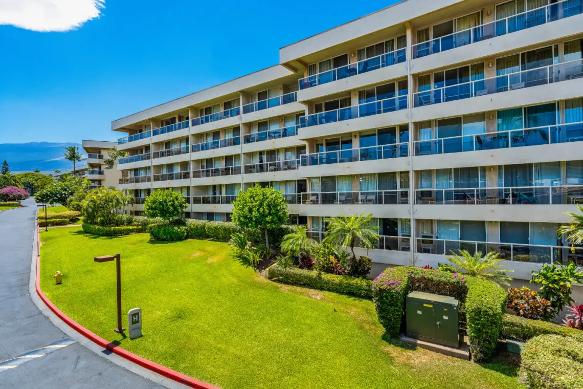 123155 310271 Cpe7I0MkdHakNoBP2P8HPUiJgNpAWRxrFVymXBYMkWQ 683d50257243f.jpg