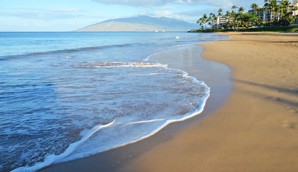 123155 310597 JmLeq6dHbWQSM81O gUr 63Ei3UY6DCDYYjnaaVJvk0 67e8b8ebd7c23.jpg