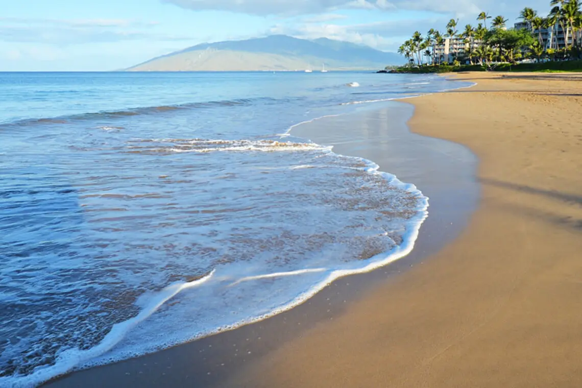 123155 310597 JmLeq6dHbWQSM81O gUr 63Ei3UY6DCDYYjnaaVJvk0 67e8b8ebd7c23.jpg