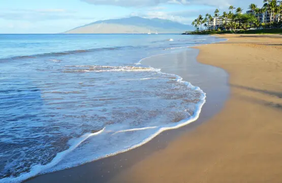 123155 310597 JmLeq6dHbWQSM81O gUr 63Ei3UY6DCDYYjnaaVJvk0 67e8b8ebd7c23.jpg