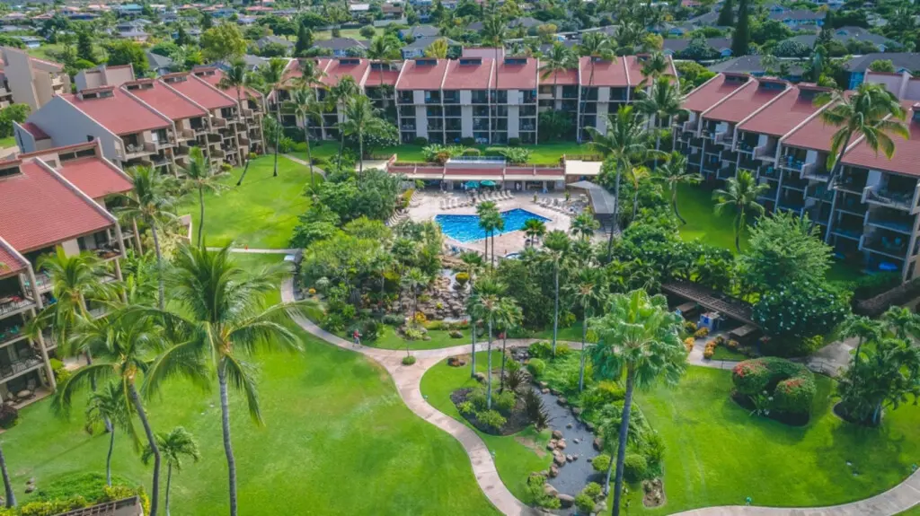 123155 310597 QBx zc1vj8Nuc8RXth60AaJBxxDMFgnKQtcipOHqcA8 6762040d8e60e.jpg