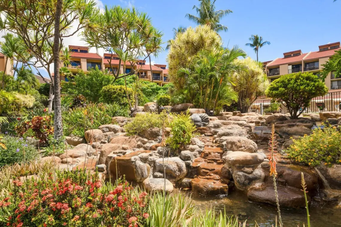 123155 310597 Ride52Og6AUUmj7ocMnAfx08XrLupehqpnlvpy5I1xs 66ee37b0d12a0.jpg