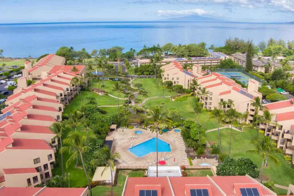 123155 310597 auMMx9nJgPf7 yCkwNdyCwD6jrCNCyU6BfnhEd4lrQI 676203e3b2673.jpg