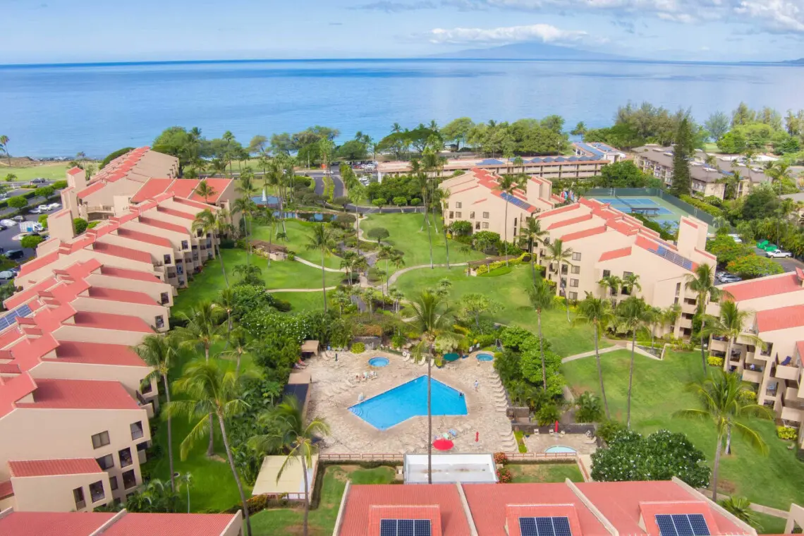 123155 310597 auMMx9nJgPf7 yCkwNdyCwD6jrCNCyU6BfnhEd4lrQI 676203e3b2673.jpg