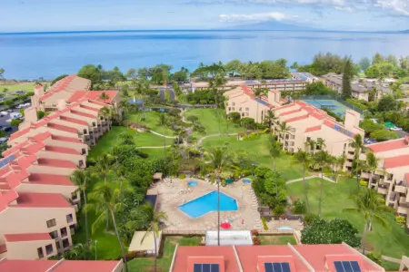 123155 310597 auMMx9nJgPf7 yCkwNdyCwD6jrCNCyU6BfnhEd4lrQI 676203e3b2673.jpg