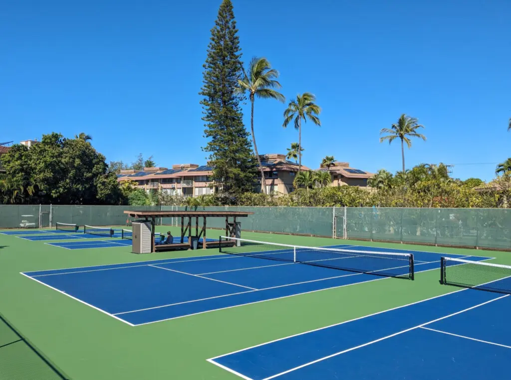 123155 310597 ni64u14PYVPPXU9vlrv9 bGDMLlBZ9XRvw42R54KqDE 676203fc8bf88.jpg