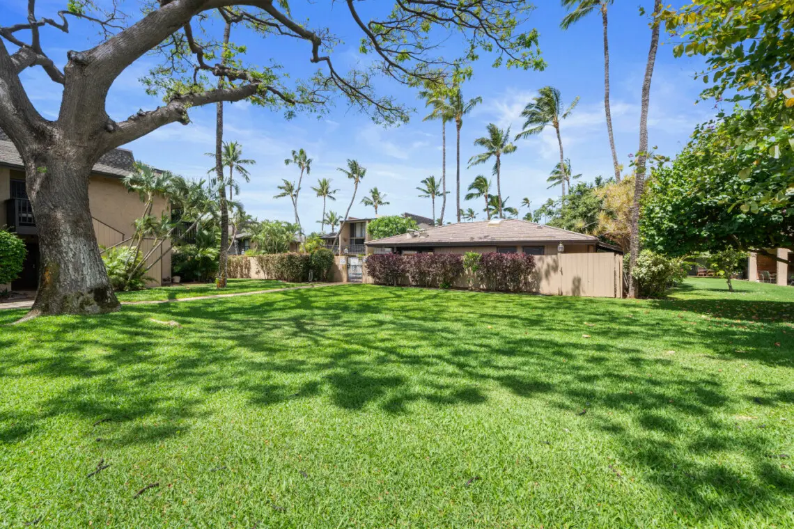 123155 382193 7yR7OCI QWphdhIk9edQyONc162CmRvdRD5ERyMxrsc 682141e376276.jpg