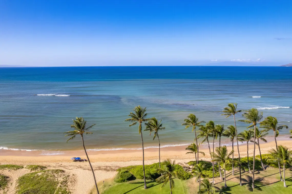 123155 382193 9 VfzdtMmqEHcsDDJrbbUHeYhkyUsGjFgFVAIQA SqM 682142fd70418.jpg