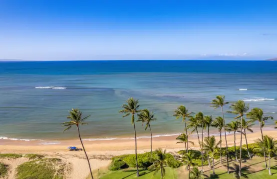 123155 382193 9 VfzdtMmqEHcsDDJrbbUHeYhkyUsGjFgFVAIQA SqM 682142fd70418.jpg