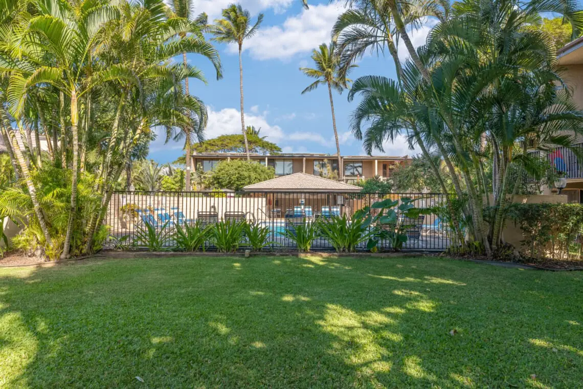 123155 382193 DjHSif40G3H0sUnM02T mIJvDzlb9KcvdKo yyaaJ1w 682141f6c3ee4.jpg