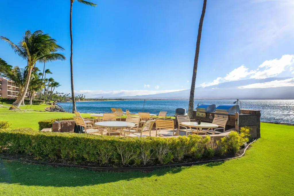 123155 429462 AbxvypXOtTLo ClwWLgbIHLlfeoKeMQrtTmNpXhY23w 68bd24704c923.jpg