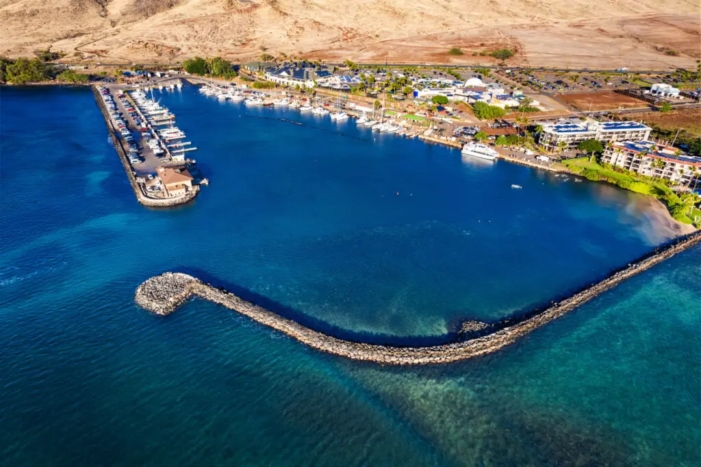 123155 429462 M1acDypyuOgL2sBy1blT8oezD0J69LU GHUkCFrXu8E 68bd252e0d492.jpg