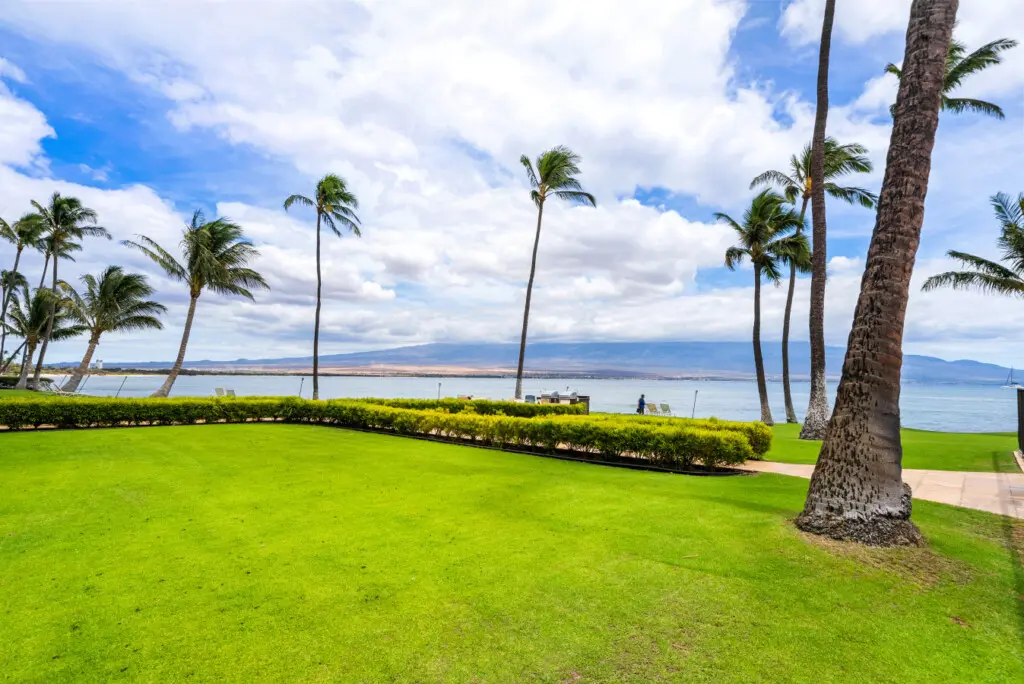 123155 429462 xAb63b74XUJTMGxvedtx3dZtzh70LNj9FVwhiVKF508 68bd248ca0041.jpg