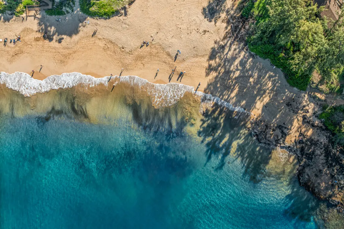 123155 310195 2q v87HqZFGXQZceXwaxzlikM6iUkw58wDCYi7C1Sk 683d446e6a15c.jpg