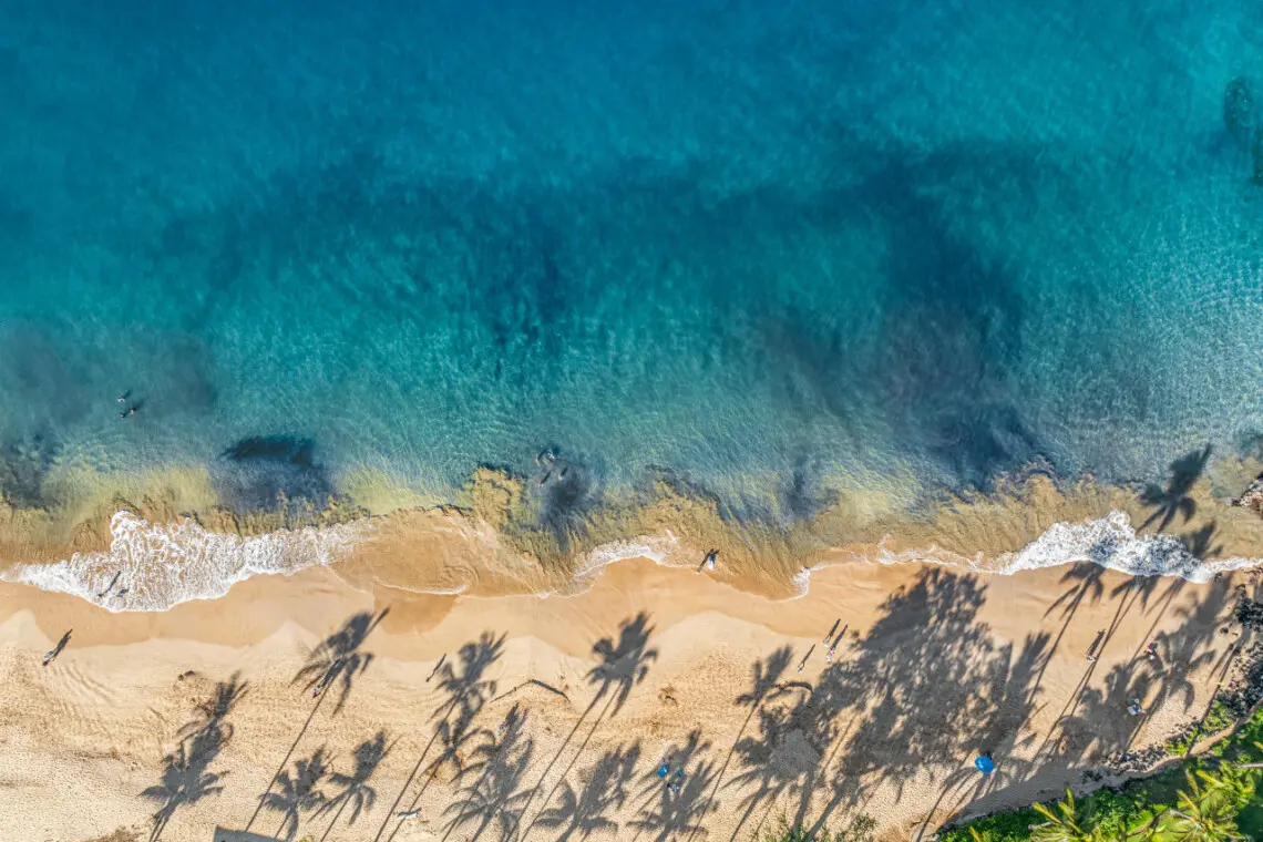 123155 310195 WJQG47DQl0kGC2vc9AcQyyGR3f0ACyS7FjxHmB2P58 683d4450b1b69.jpg