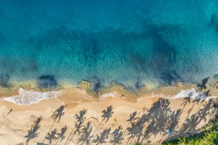 123155 310195 WJQG47DQl0kGC2vc9AcQyyGR3f0ACyS7FjxHmB2P58 683d4450b1b69.jpg