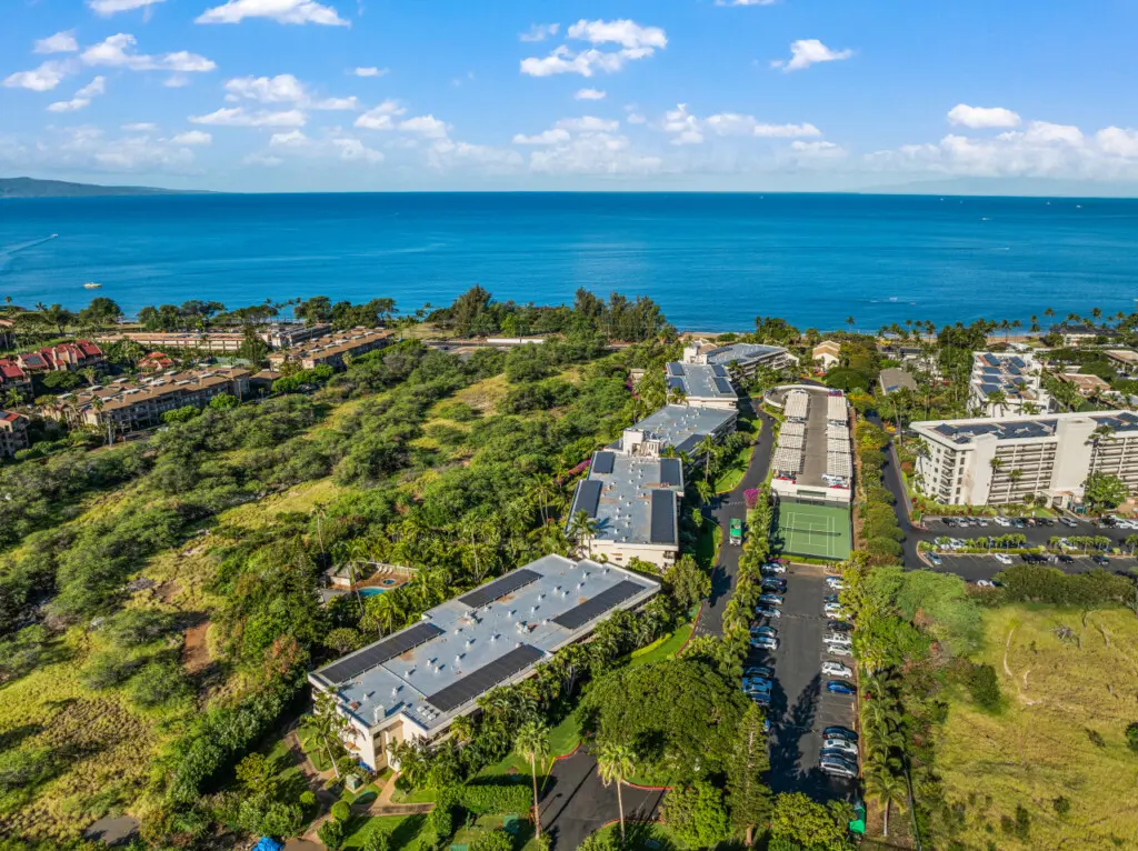 123155 310195 0Z93fBrSklA3SnqIa1gtYkwdDgI2GciSQOMTVIR5MQI 683d438926447.jpg