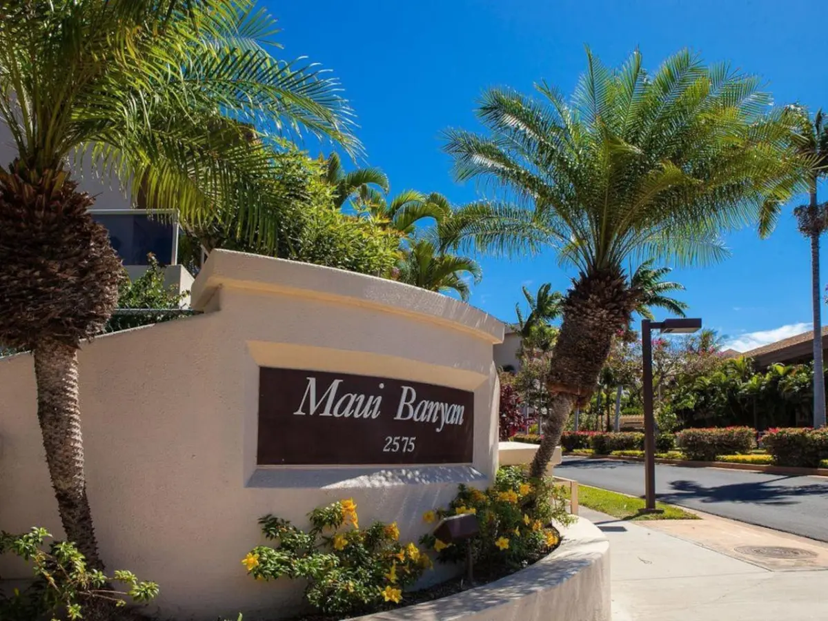 123155 310195 8 BWZoSoE9GDf12amkX 8uJSEia6RumcV5A RmwVIRo 66ecb4381db84.jpg