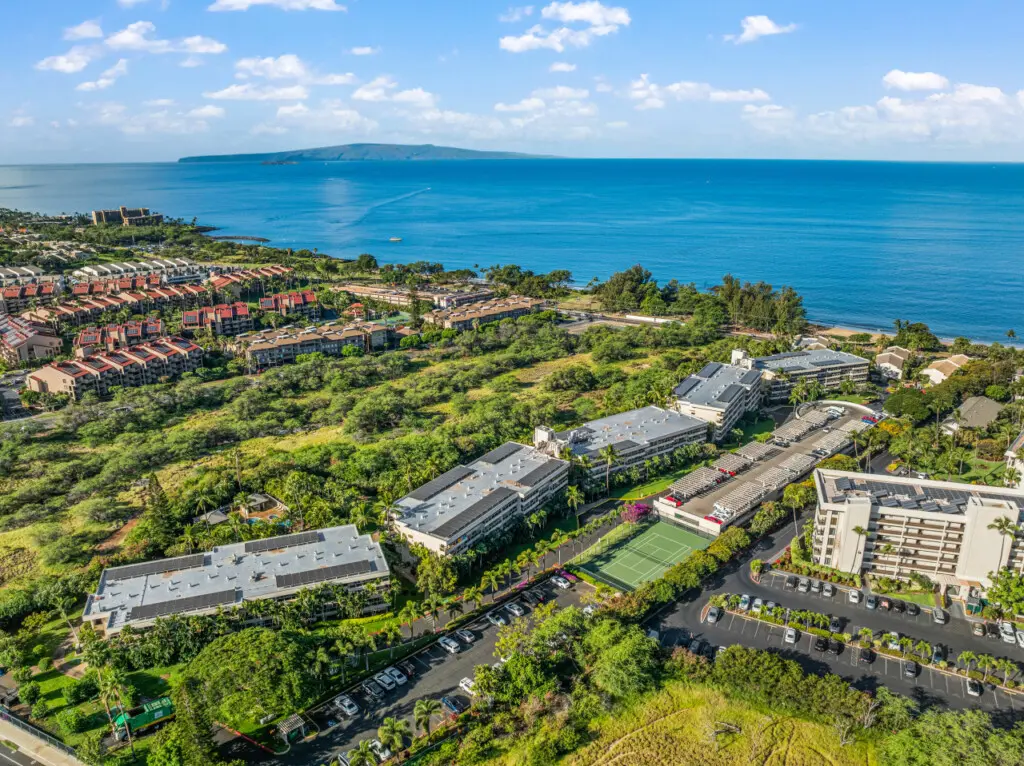 123155 310195 avt1ii SmzkPUU7WHh3d8lkvd7GztvcQN98uUbMMMEo 683d43d79adaf.jpg