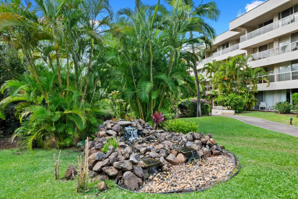 123155 310195 cmPiwbEcVWOVcJX scAqD060lBUr2phHfqkBKN1Dc6A 67b670bde63e6.jpg