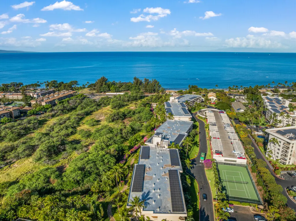 123155 310195 dx8upWvlvhtY9T LqT As qOK8F5tc5BBDtbM rq0FY 683d44050ee82.jpg