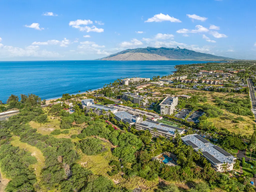 123155 310195 eNYaC5MyVtJqnXQOH6IWDTUHLxCV61uLAjFlmSoSF3k 683d4367c4a0f.jpg