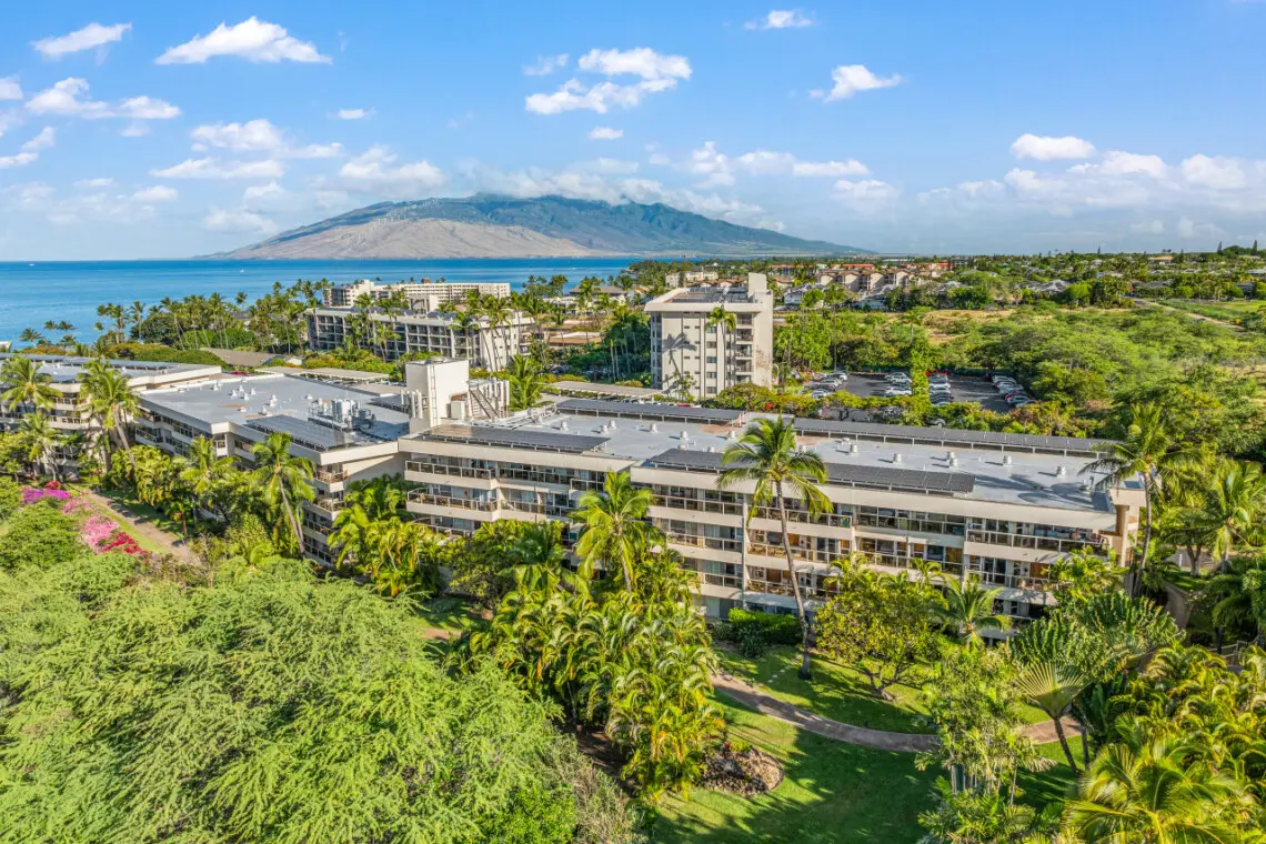 123155 310195 zFWIat4YHZ37QgYo3kujhg3jHMYMWtOUNKHVLaZA4HQ 683d43c371fce.jpg