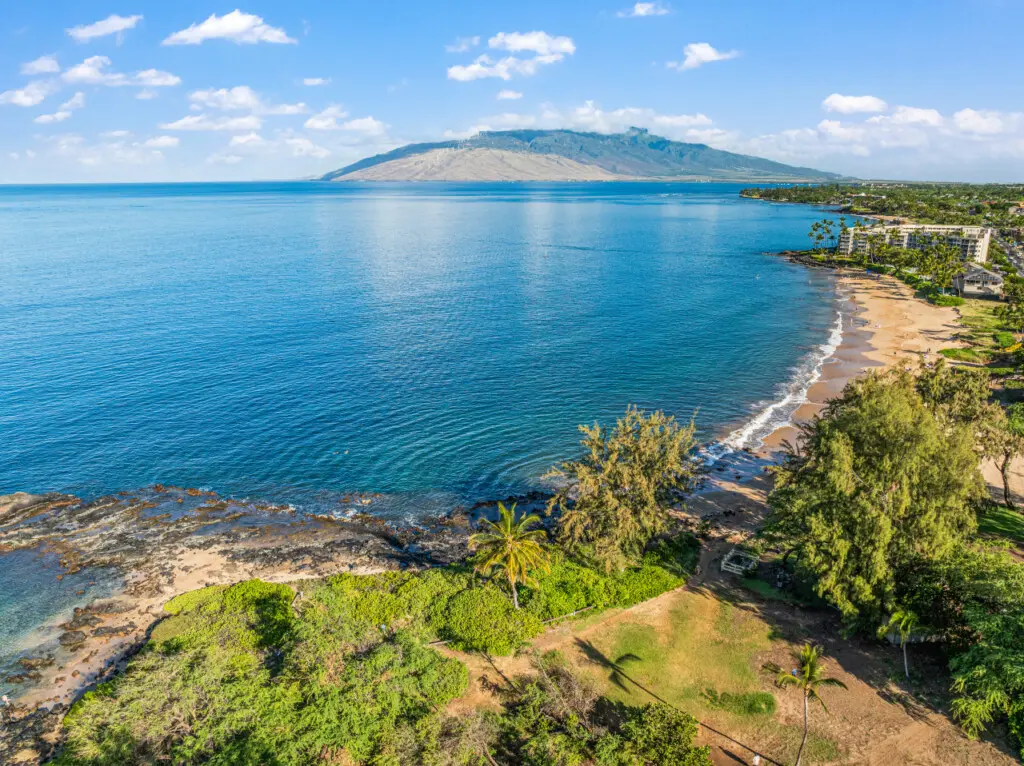 123155 310197 Jd1fLuCqvKfm39nBNTuMfcXCHr4n41JrSRMgJhim7rk 683e6c4feb850.jpg