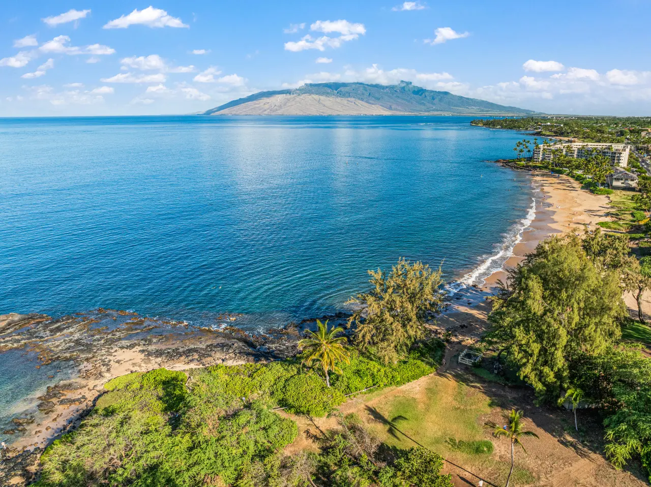 123155 310197 Jd1fLuCqvKfm39nBNTuMfcXCHr4n41JrSRMgJhim7rk 683e6c4feb850.jpg