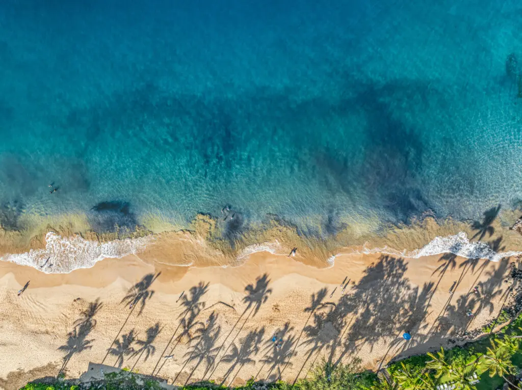 123155 310197 QIMhIB43KzfNK9nRPp0eS2b CAPmvsOjxMSKezueQ9c 683e6bf3f32b1.jpg