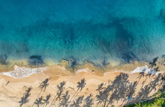 123155 310197 QIMhIB43KzfNK9nRPp0eS2b CAPmvsOjxMSKezueQ9c 683e6bf3f32b1.jpg