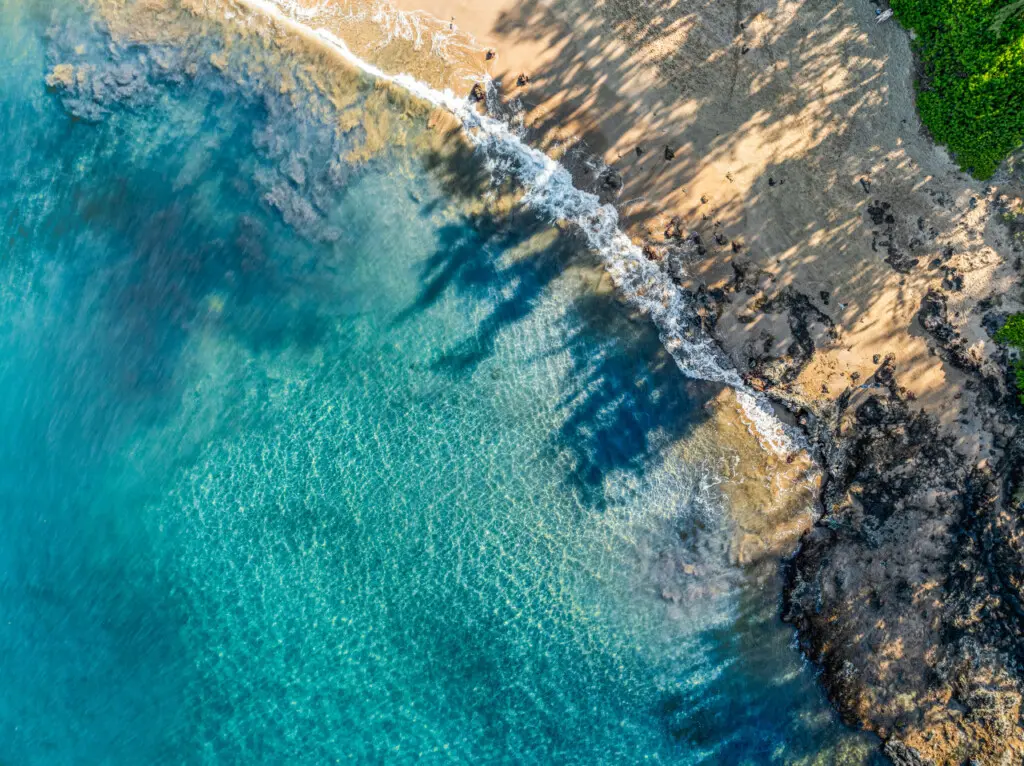 123155 310198 41Kky0A43m2Z k9VaWq7dQWA 9O8LhtoYVDtUURZOzo 683e6acdbeec6.jpg